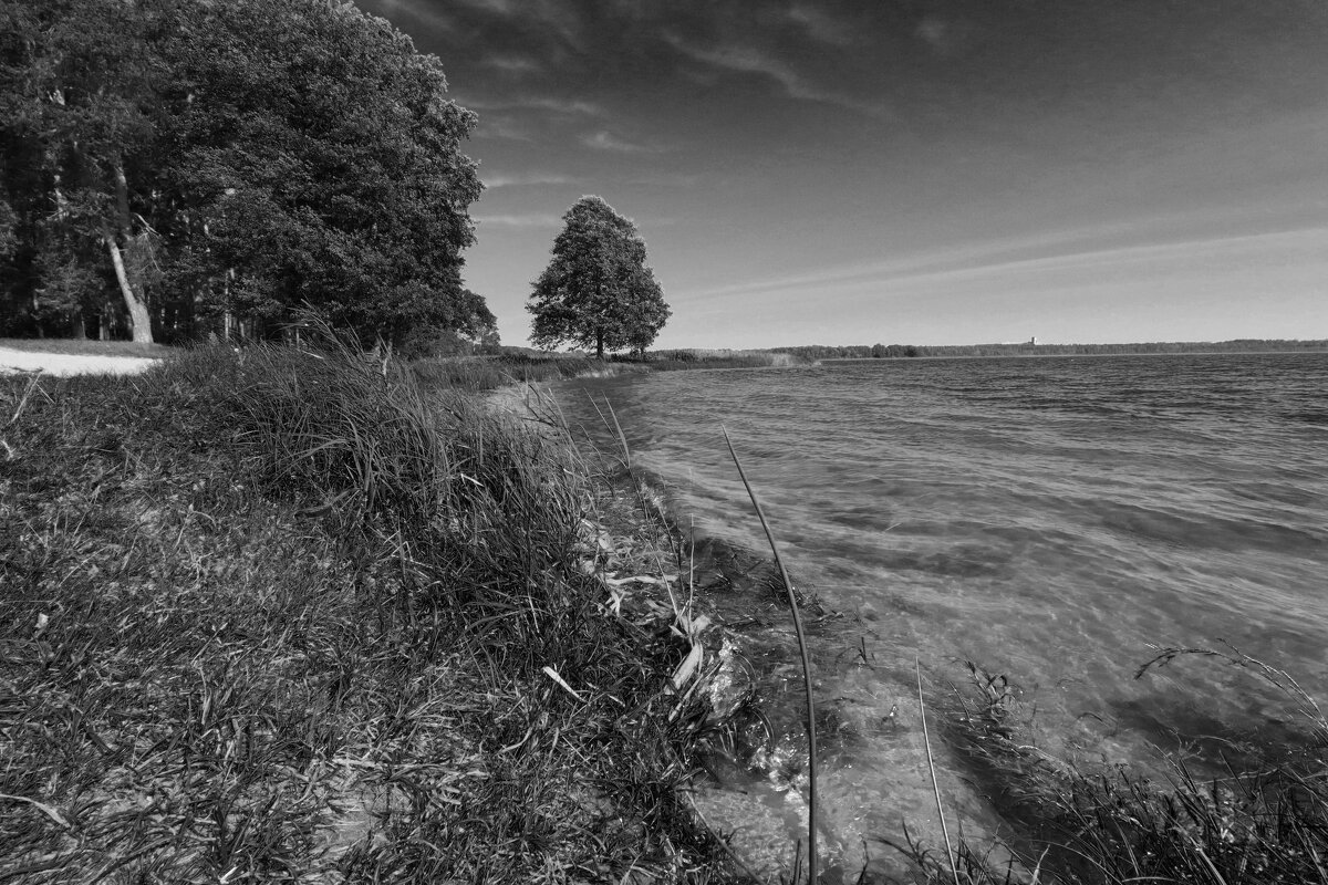 Б/Н - Николай 