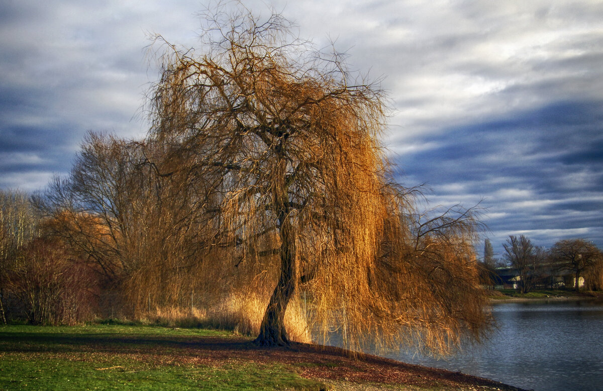 **** - Андроник Александр 