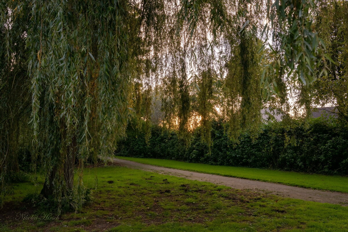 По дорожке... - Николай Гирш По дорожке... - Николай Гирш