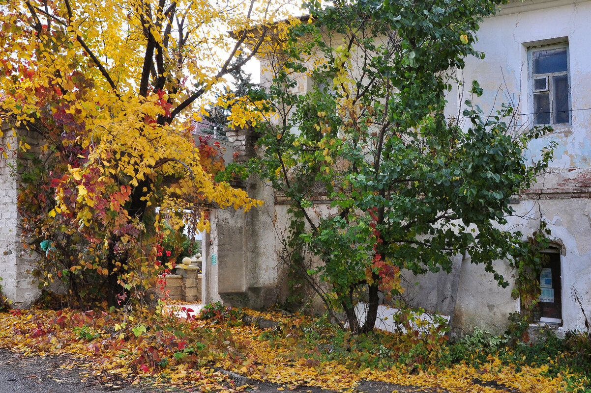 Осенний фейерверк - Татьяна Машошина