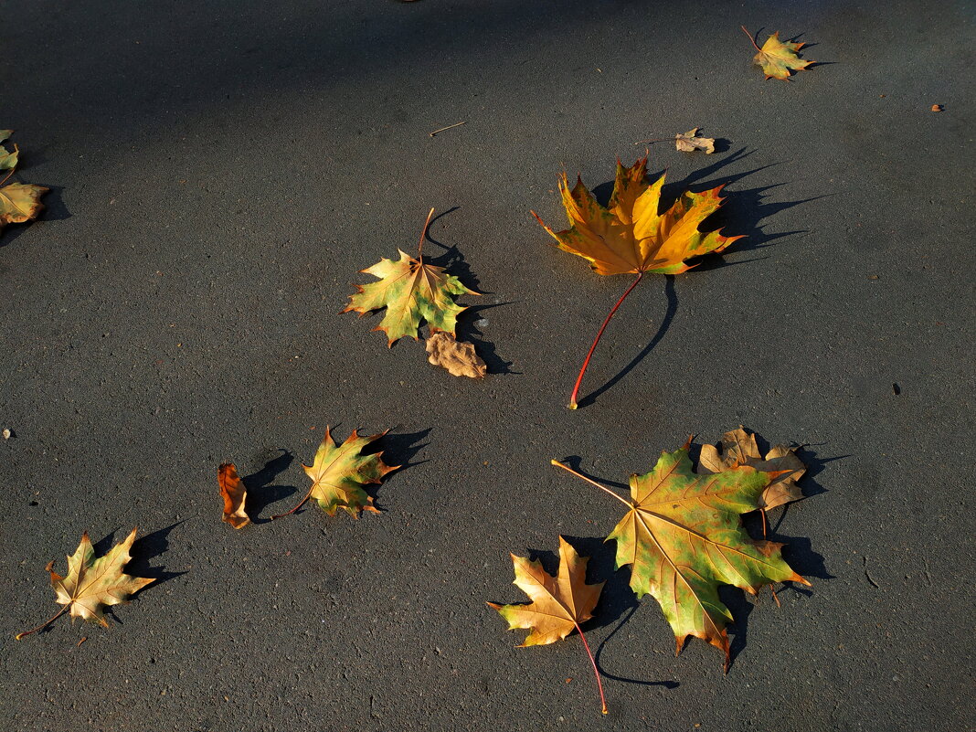 Воспоминание - Андрей Лукьянов Воспоминание - Андрей Лукьянов