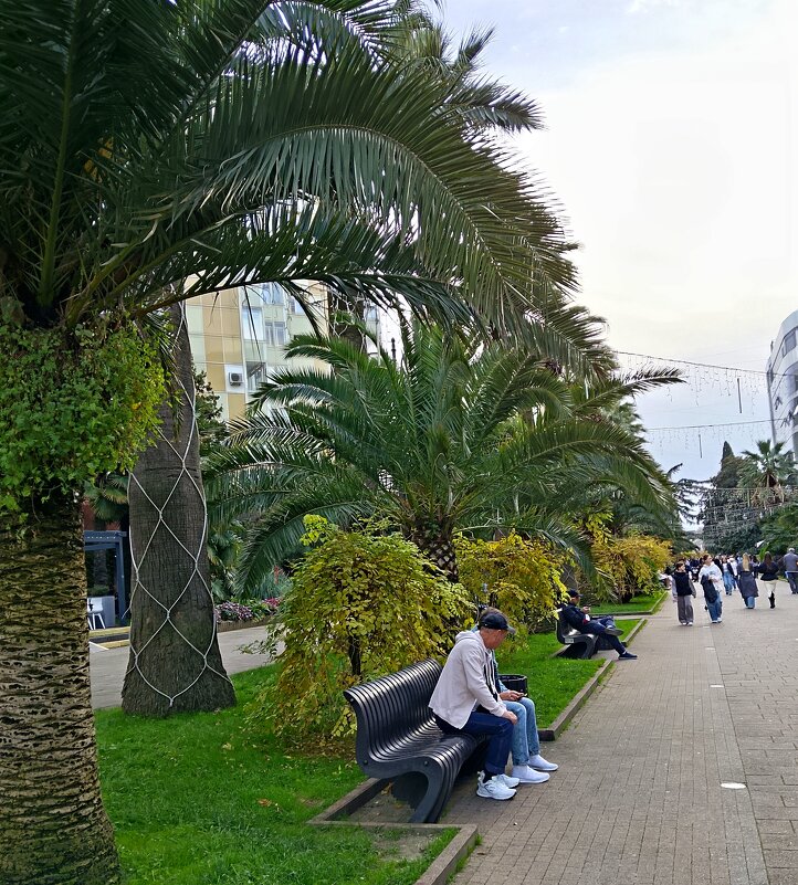 Прогулка по городу - Tata Wolf Прогулка по городу - Tata Wolf