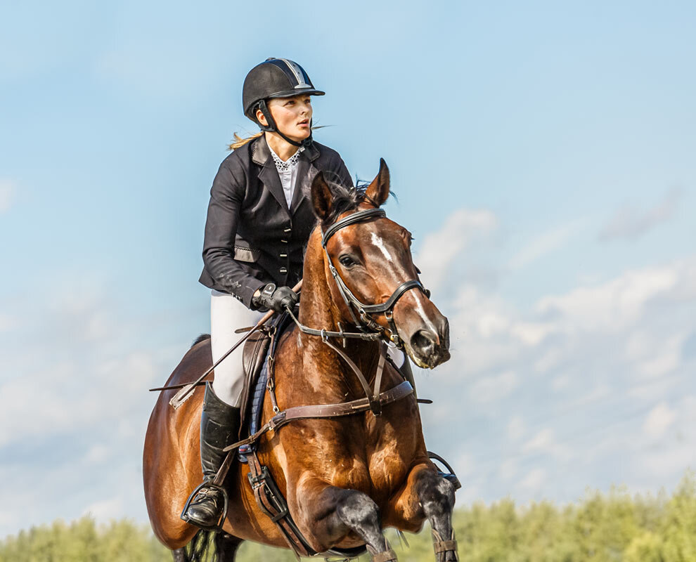 Конкур - SanSan 