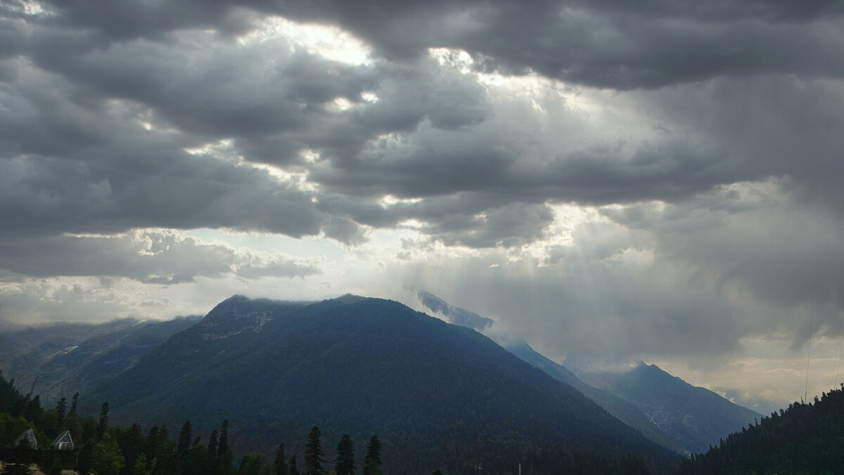 Туманно. - Марина Леонидовна Туманно. - Марина Леонидовна