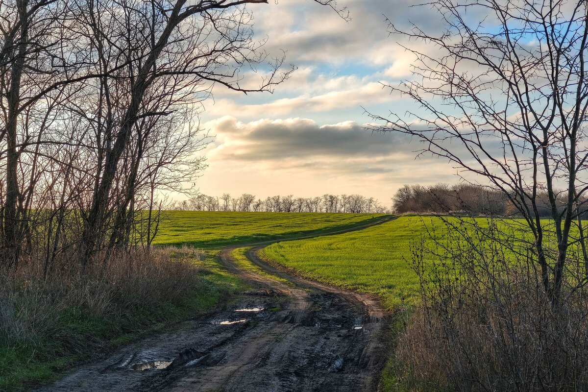 Дорога сквозь облака - Валерий Ткаченко