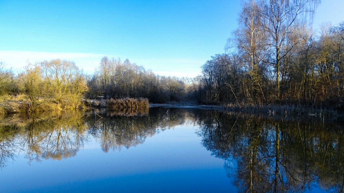 Природа ноябре. - Милешкин Владимир Алексеевич Природа ноябре. - Милешкин Владимир Алексеевич