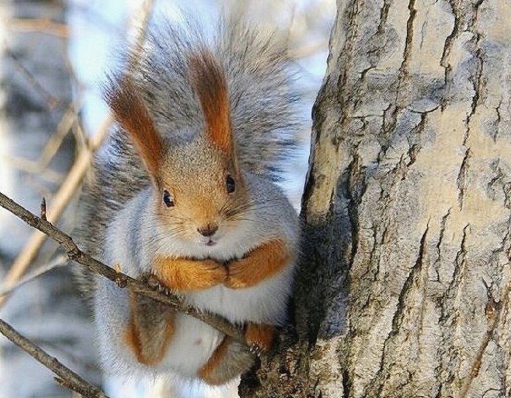 Ждет нас... - Галина Нестратова