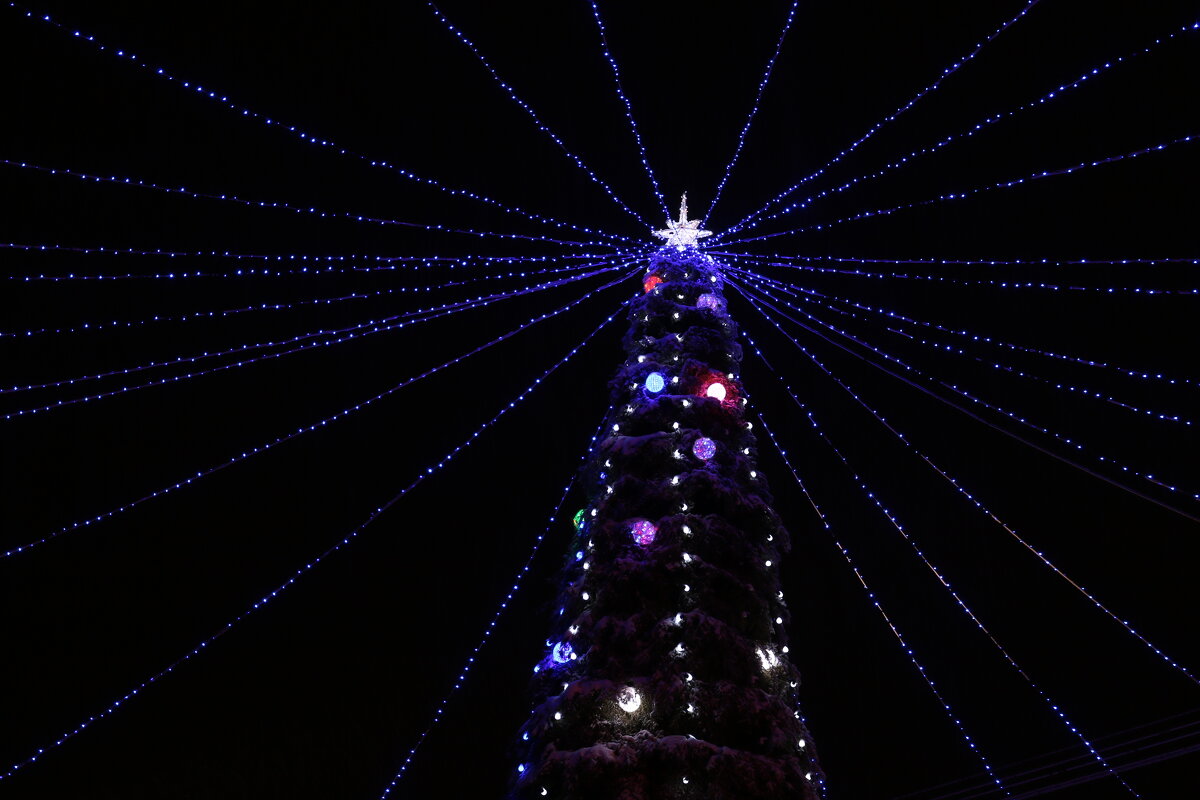 Огоньки полярной ночи - Ольга Огоньки полярной ночи - Ольга