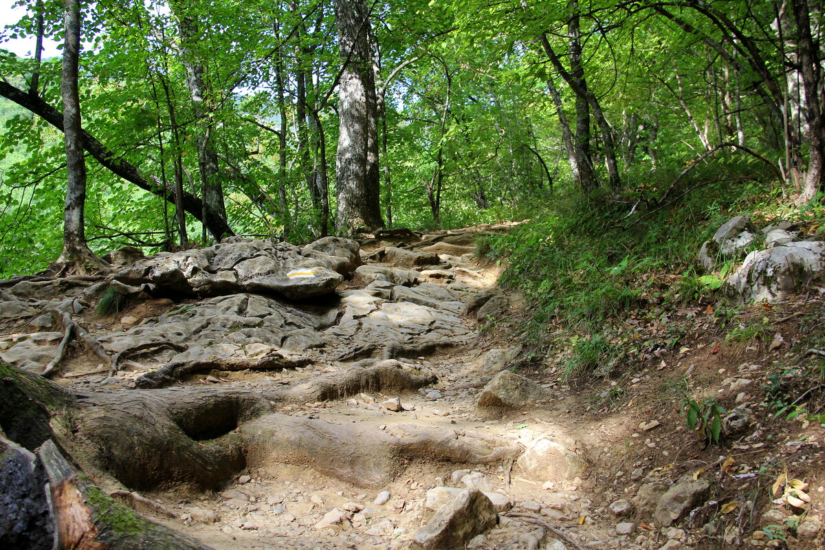 ..Опять поворот - Vlad Сергиевич ..Опять поворот - Vlad Сергиевич