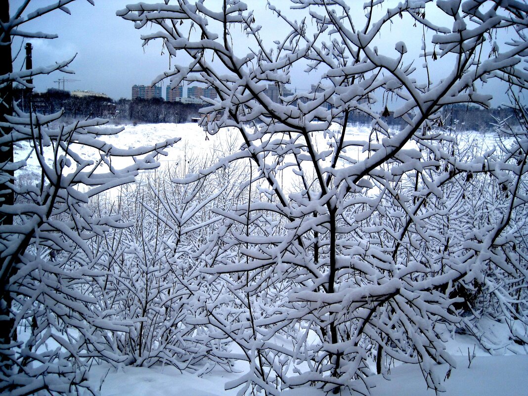 Зима - Елена Семигина Зима - Елена Семигина