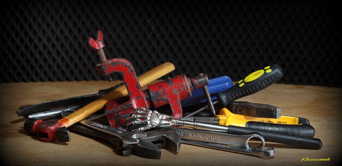 В поисках нужных инструментов для монтажа ёлки....:-) - Андрей Заломленков В поисках нужных инструментов для монтажа ёлки....:-) - Андрей Заломленков