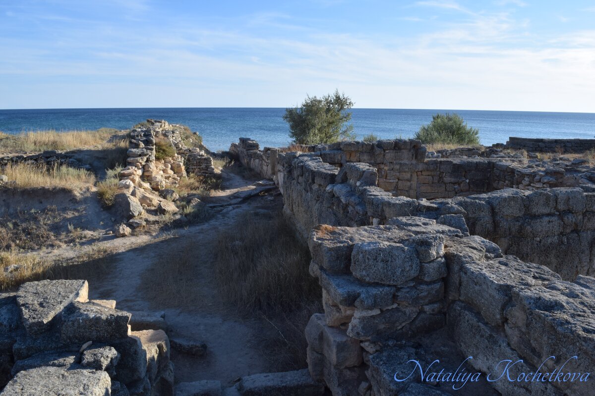 Природа Крыма - Amazing Cosmea Природа Крыма - Amazing Cosmea