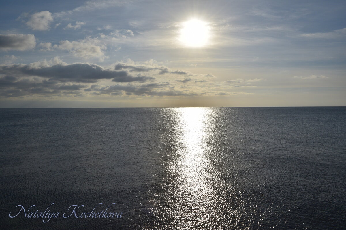 Природа Крыма - Amazing Cosmea Природа Крыма - Amazing Cosmea