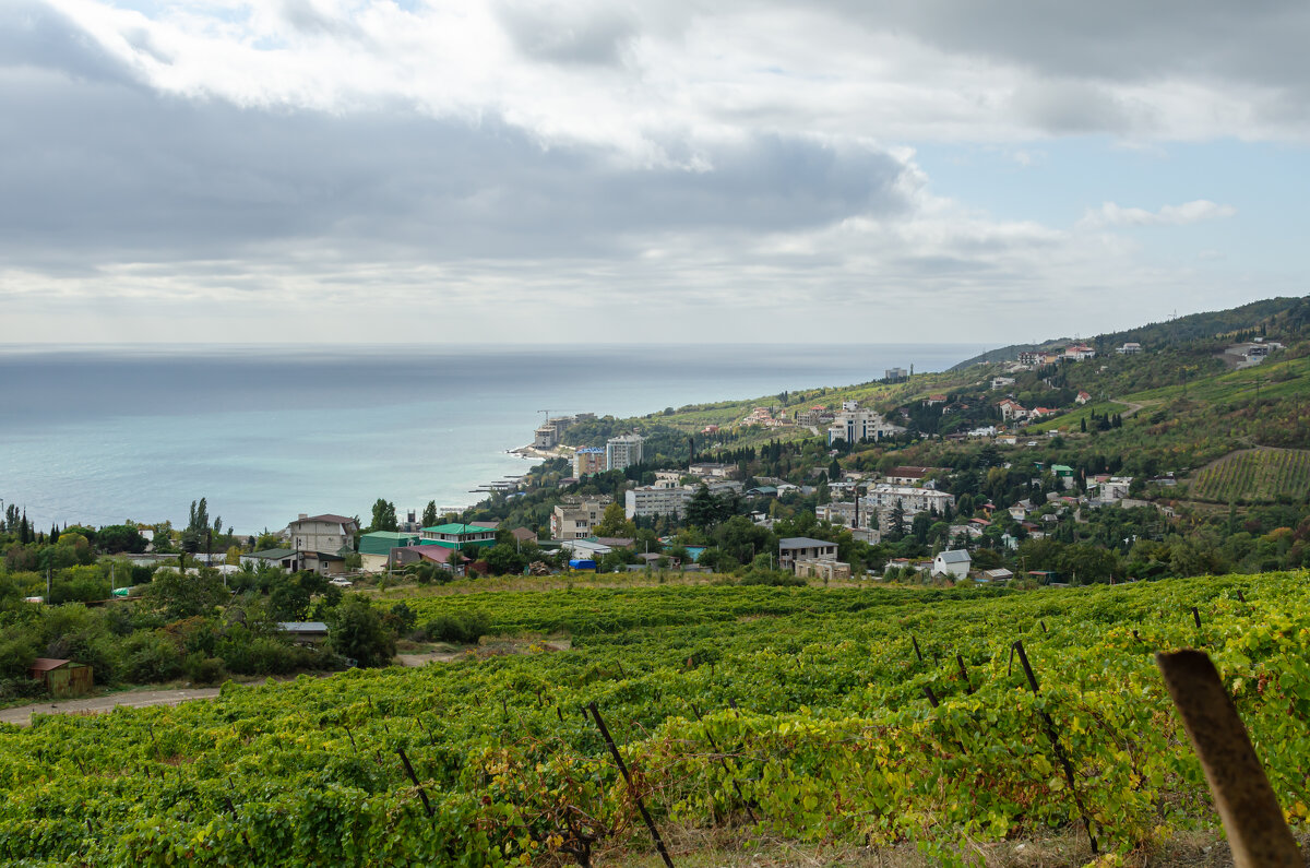 ... - Сергей Яковлев