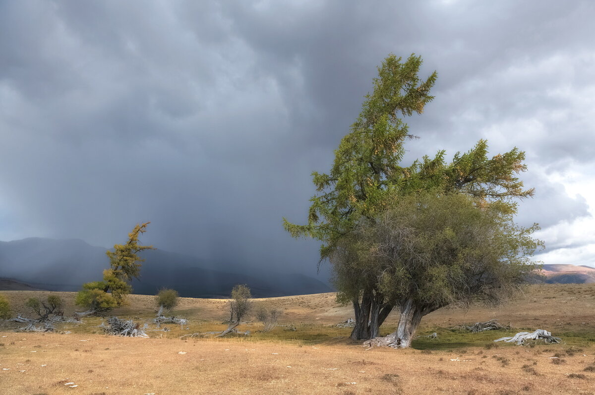 Перед грозой - Марина Фомина.