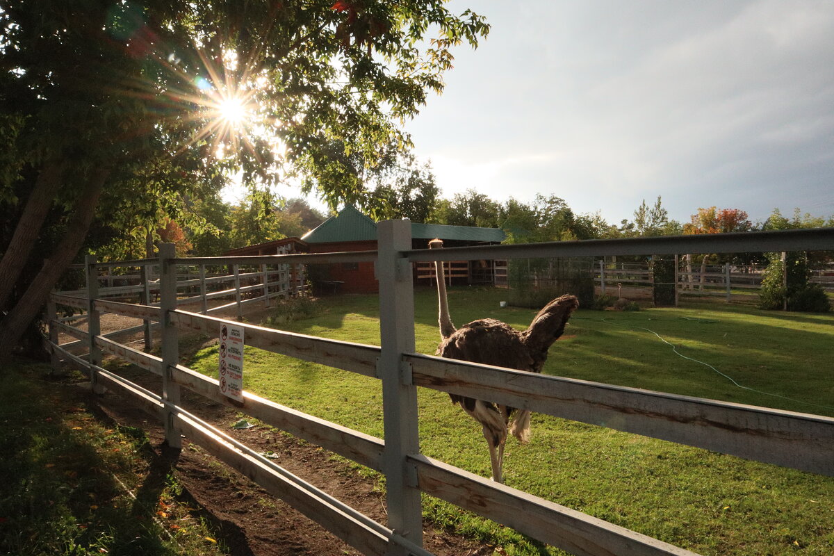 В зоопарке - Дмитрий П