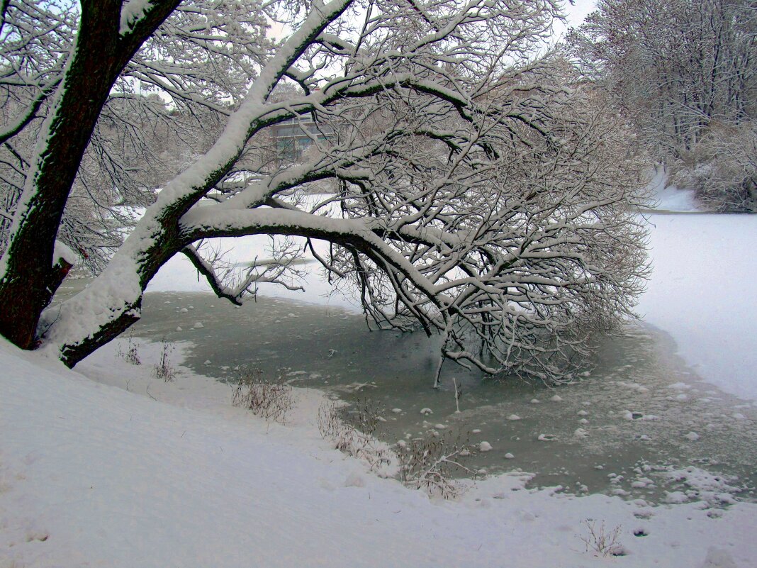 Над проталиной - Сергей Карачин Над проталиной - Сергей Карачин