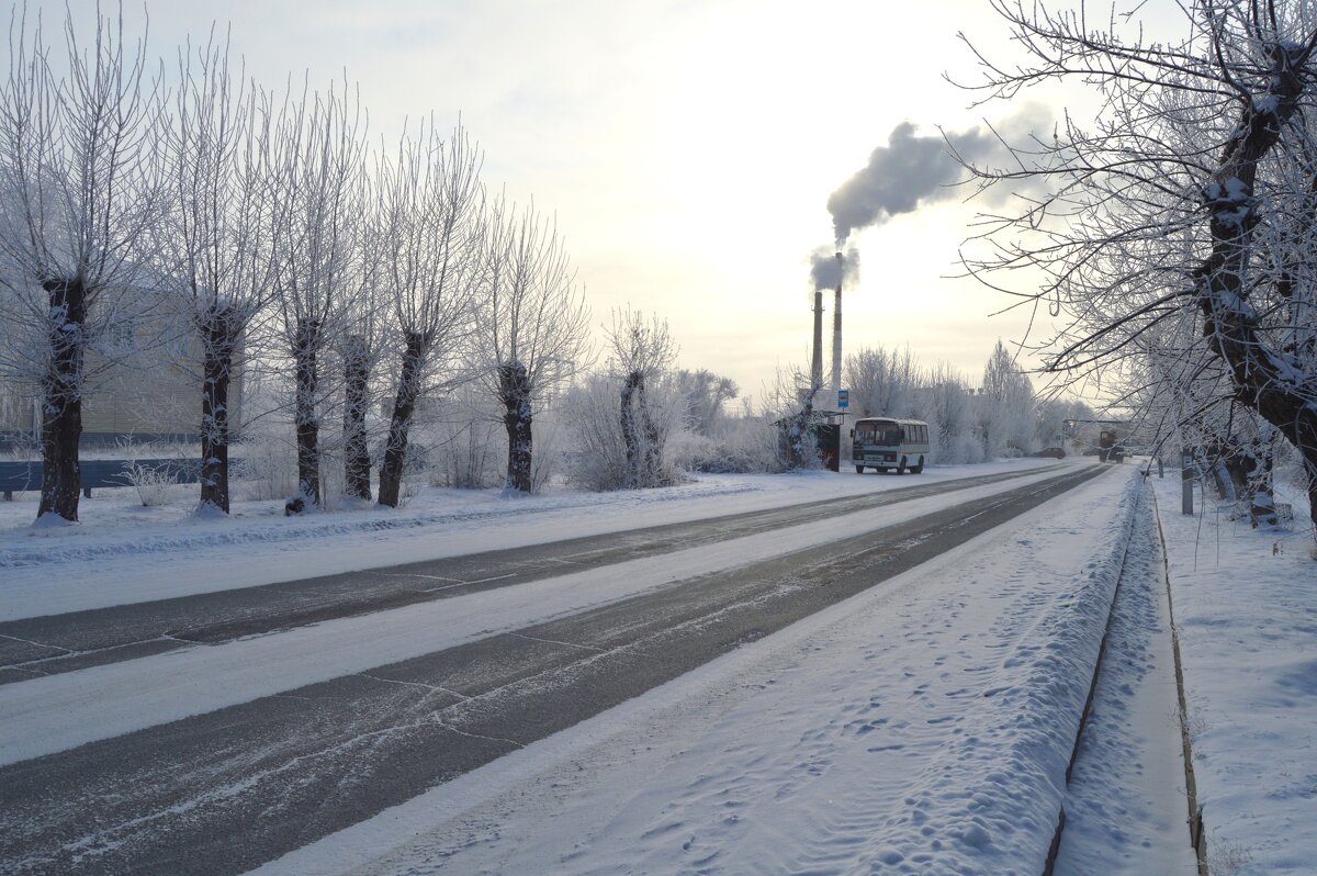 Зимняя дорога - Владимир Помазан