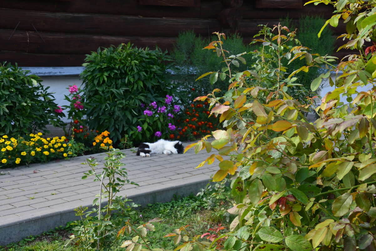 надёжная охрана ) - Галина R... надёжная охрана ) - Галина R...