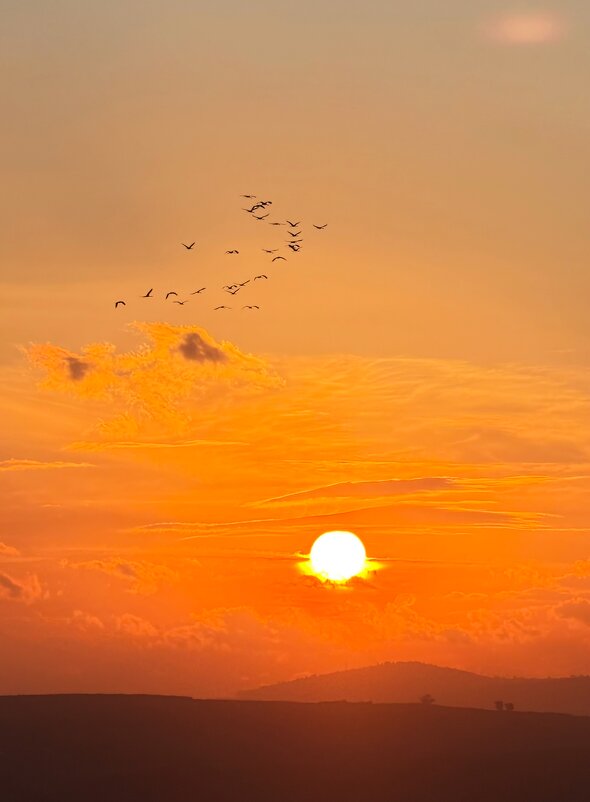 Журавли всё летят на закате... - Александр Деревяшкин Журавли всё летят на закате... - Александр Деревяшкин