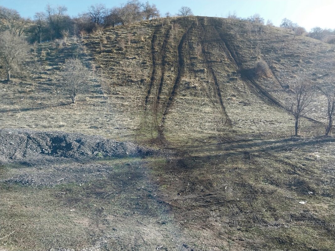 Talgar. - Murat Bukaev 