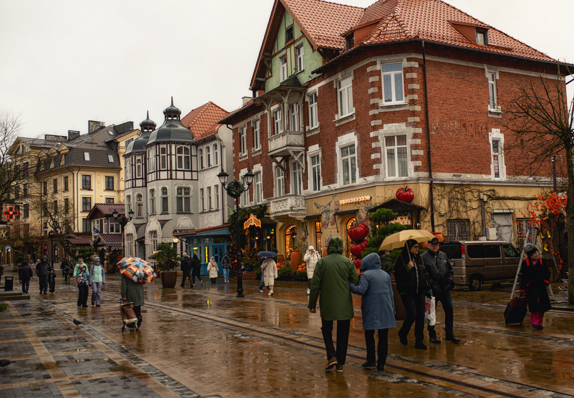 Курортный проспект - Лилия . Курортный проспект - Лилия .