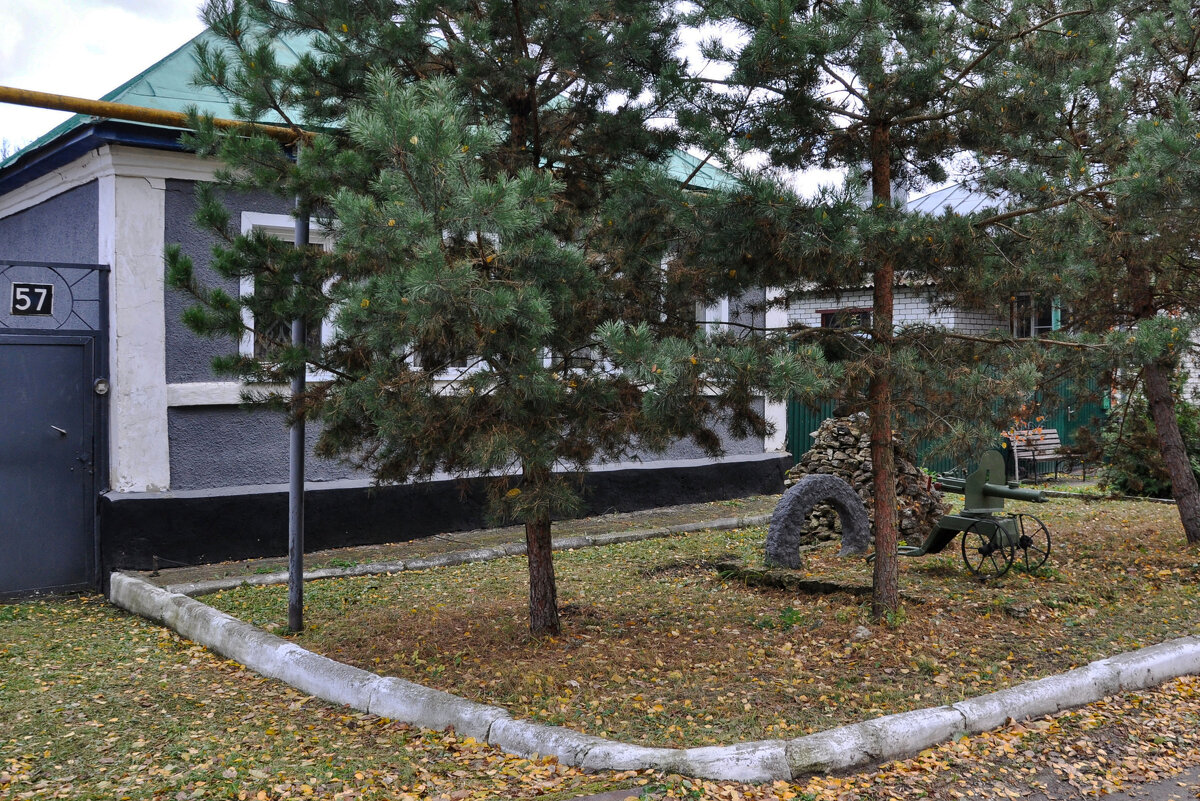 В соснах Задонска - Татьяна Машошина В соснах Задонска - Татьяна Машошина