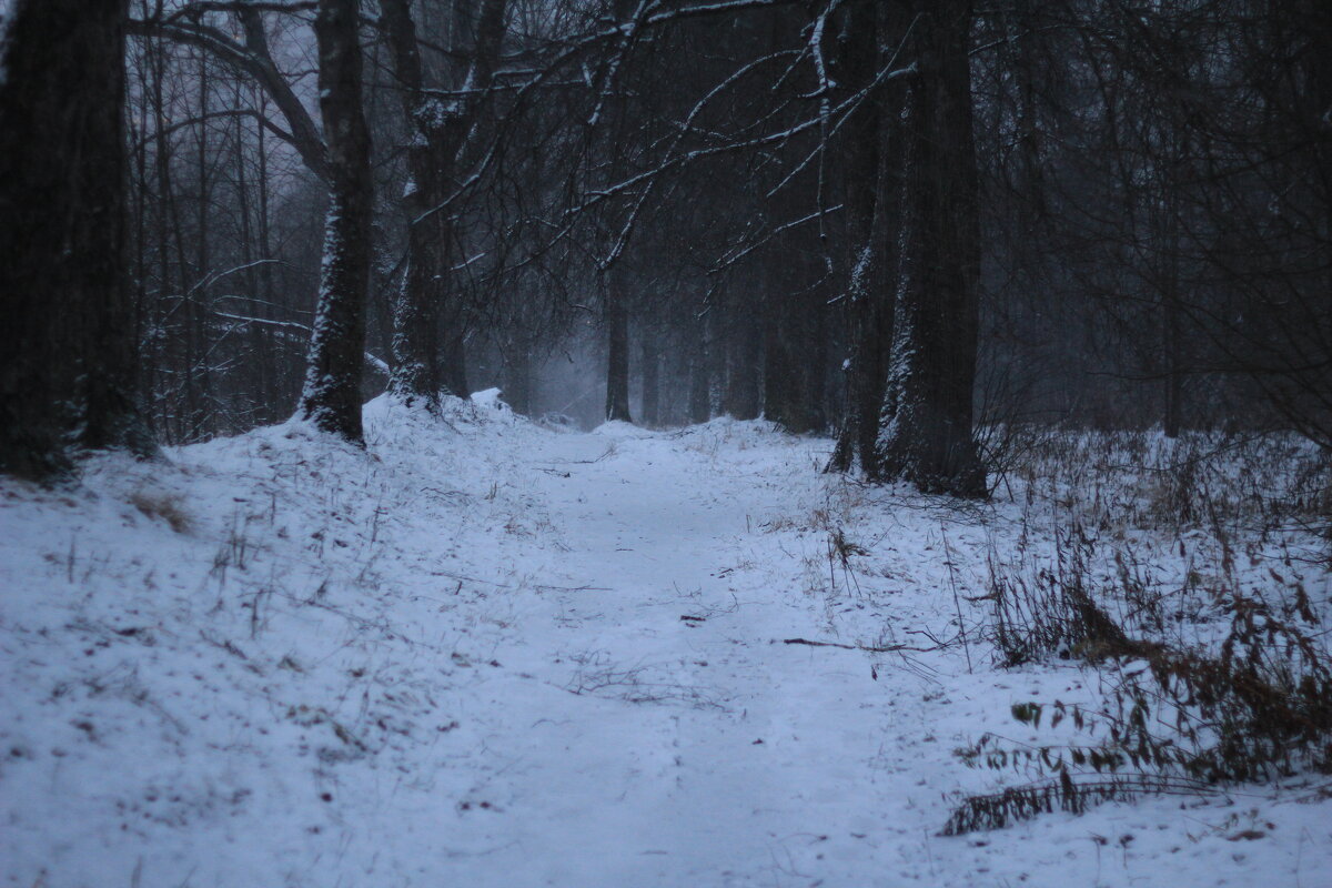 Тишина - Вадим Бакка