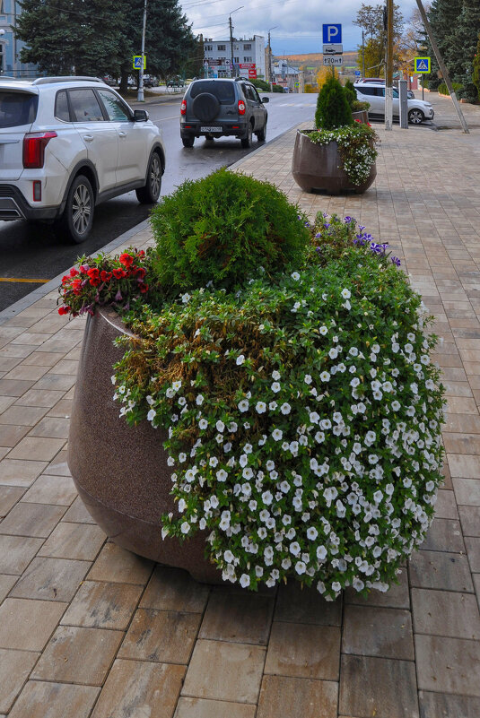 В центре Задонска - Татьяна Машошина В центре Задонска - Татьяна Машошина