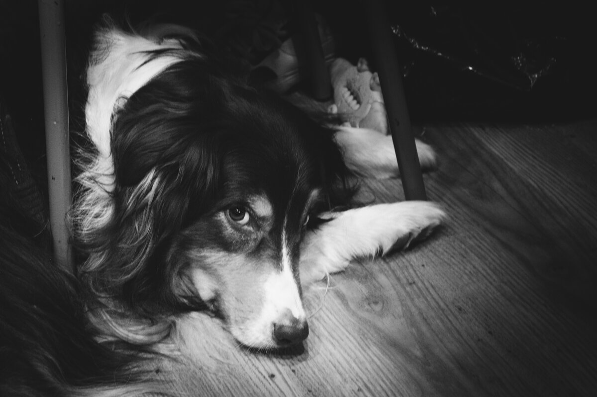 кажется в глазах укор - Артём 