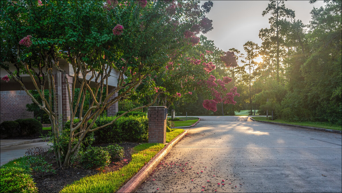 Утро - **** vedin