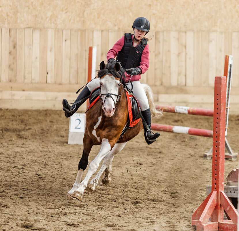 Конкур - SanSan 