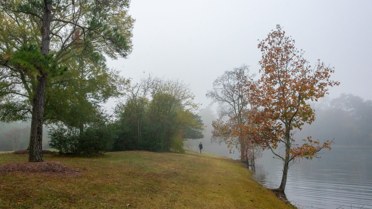 Туман - **** vedin Туман - **** vedin