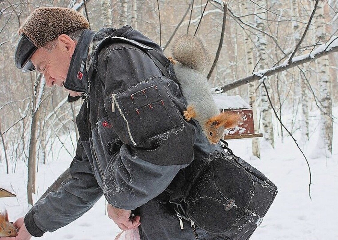 Надо кофр проверить... - Галина Нестратова