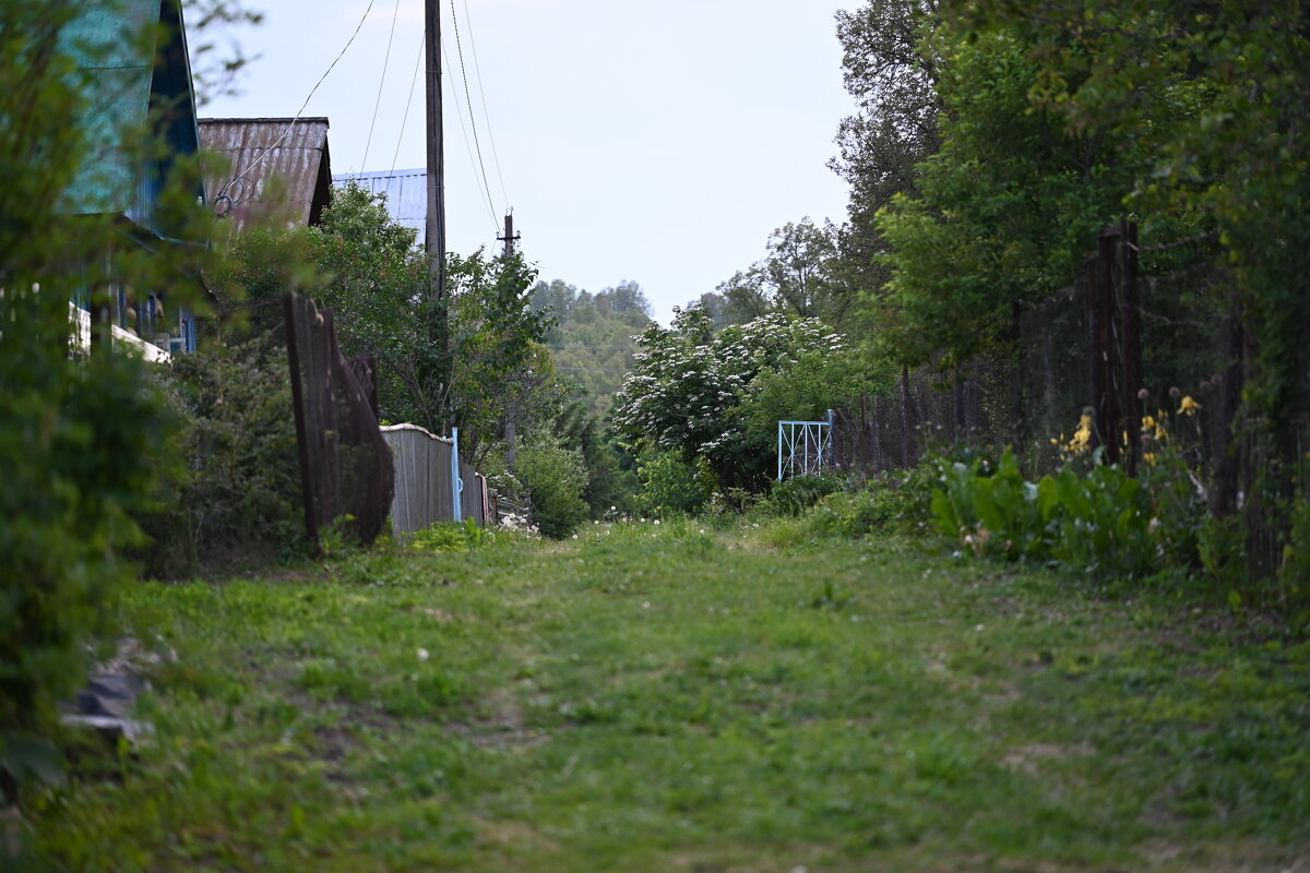 Тишина - redfox 