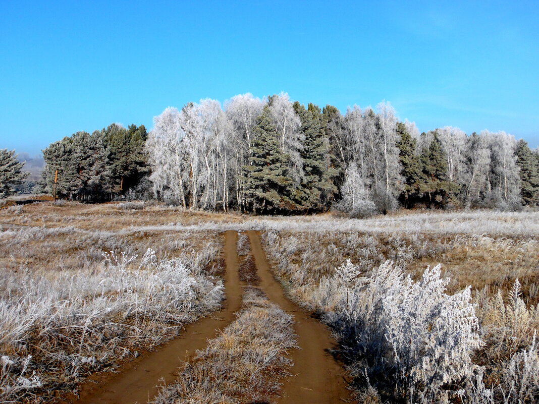Седая осень. - nadyasilyuk Вознюк Седая осень. - nadyasilyuk Вознюк