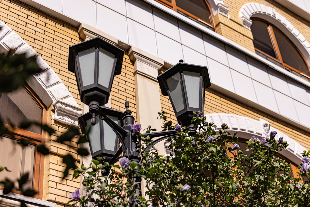 фонарь в кустах - navalon M фонарь в кустах - navalon M