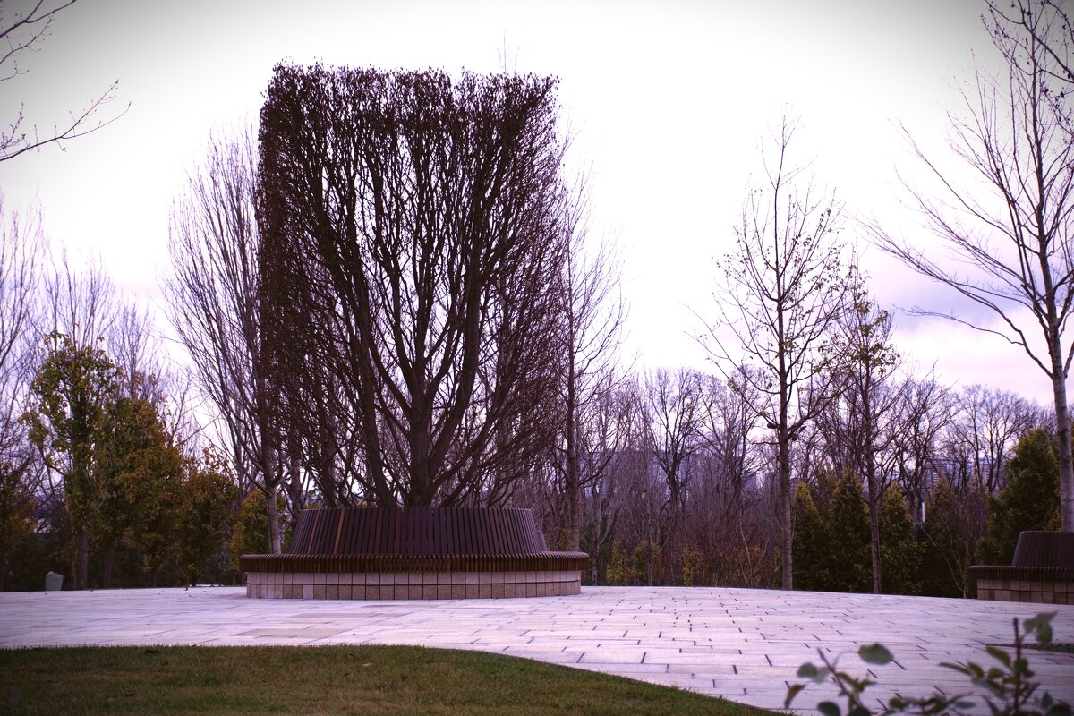 Дерево Во! - Юрий Полторыхин. Дерево Во! - Юрий Полторыхин.