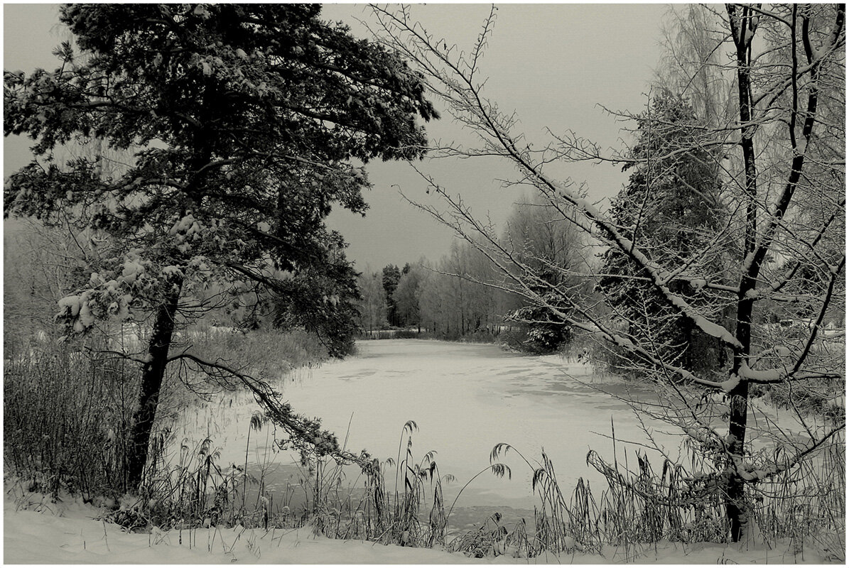 *** - Aleksandr Gal *** - Aleksandr Gal