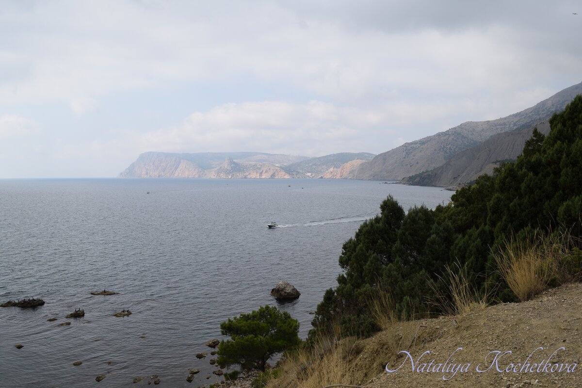 Природа Крыма - Amazing Cosmea