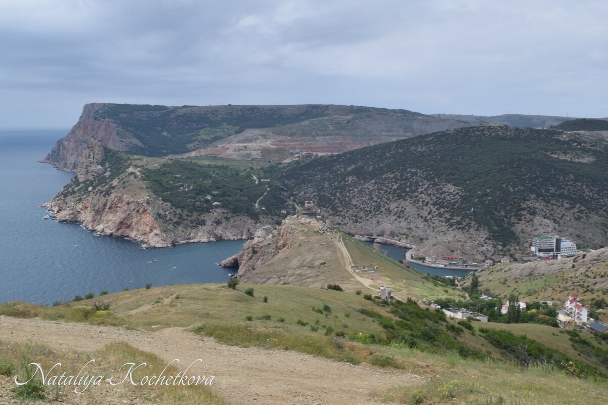 Природа Крыма - Amazing Cosmea Природа Крыма - Amazing Cosmea