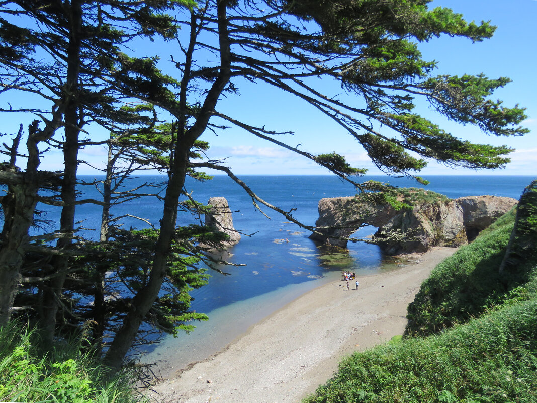 мыс Птичий - ИРЭН@ . мыс Птичий - ИРЭН@ .