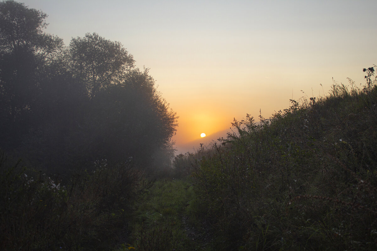 Утро. - Александр. AVG100 ---