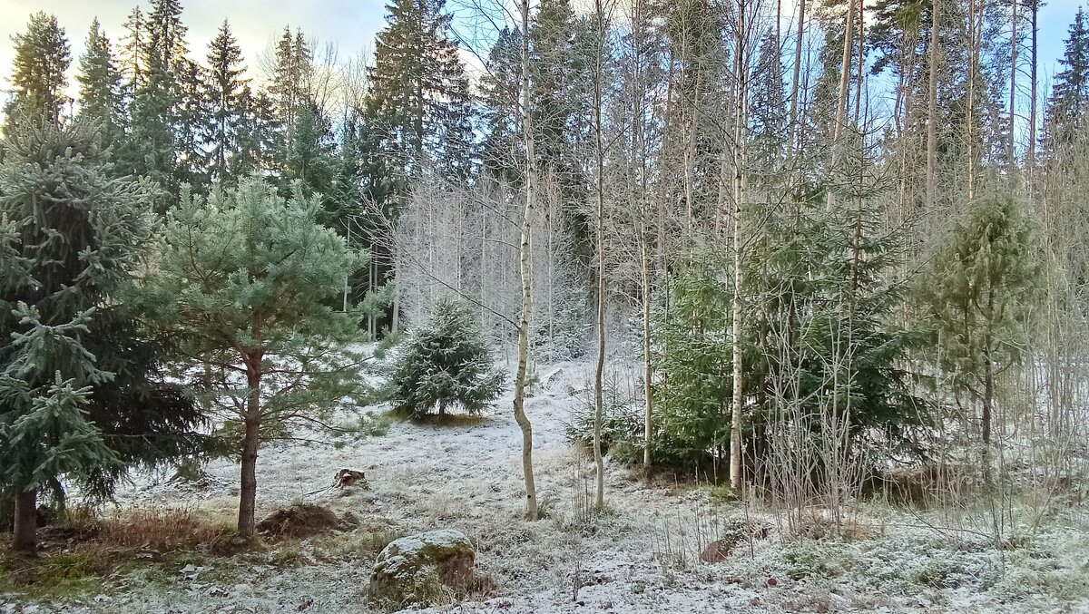 Мороз и солнце, день чудесный... - Ольга Попова (popova/j2011) Мороз и солнце, день чудесный... - Ольга Попова (popova/j2011)