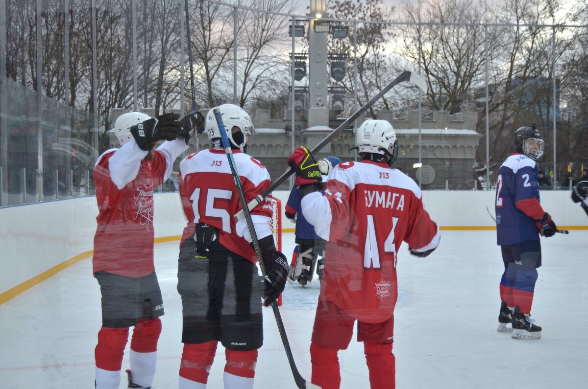 Когда забили шайбу. - Наталья Вязигина Когда забили шайбу. - Наталья Вязигина