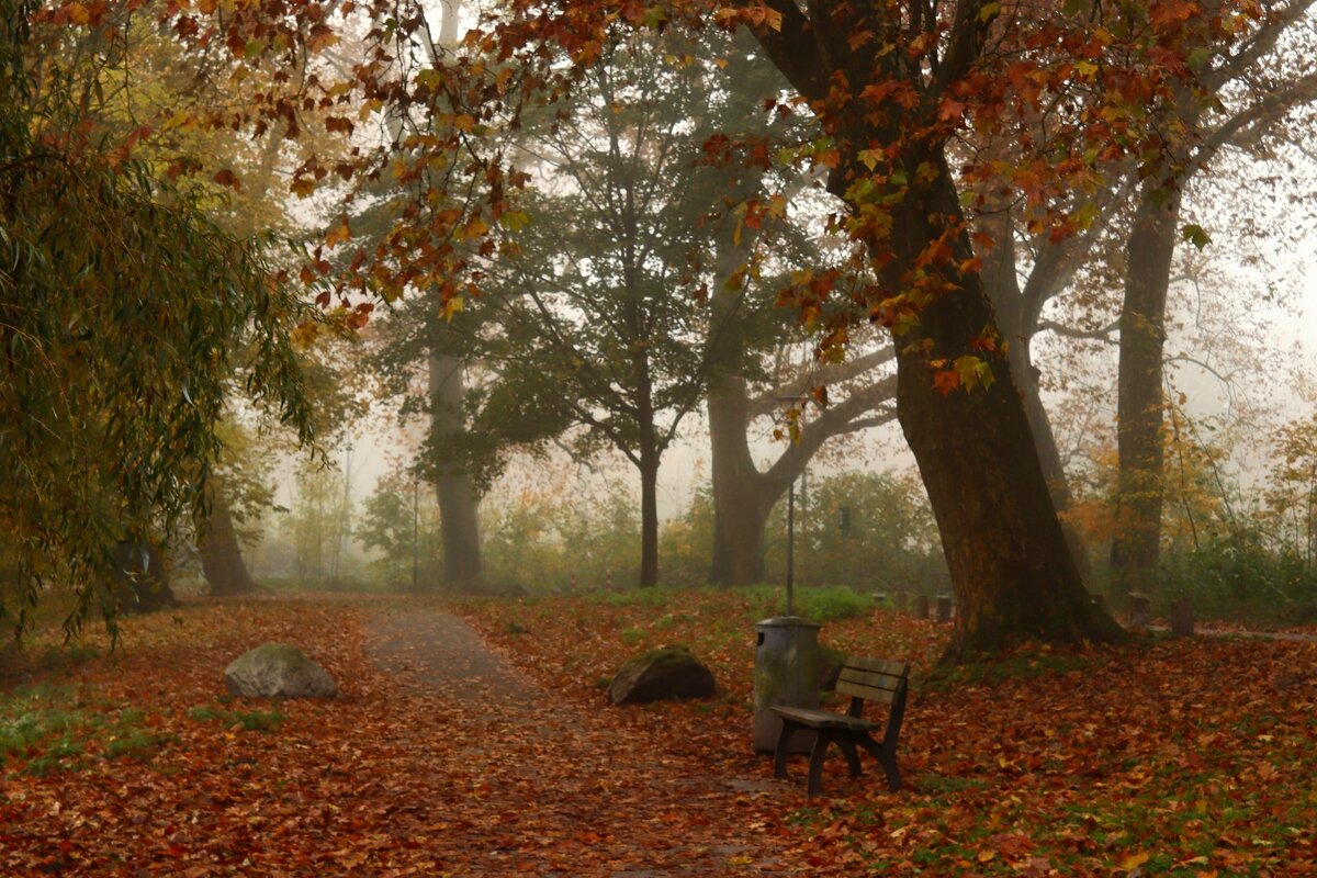Осенний парк опять зовёт меня,лежит туман в желтеющей глуши. - Юрий. Шмаков Осенний парк опять зовёт меня,лежит туман в желтеющей глуши. - Юрий. Шмаков