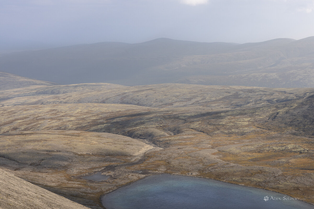 **** - Алексей Соловьев