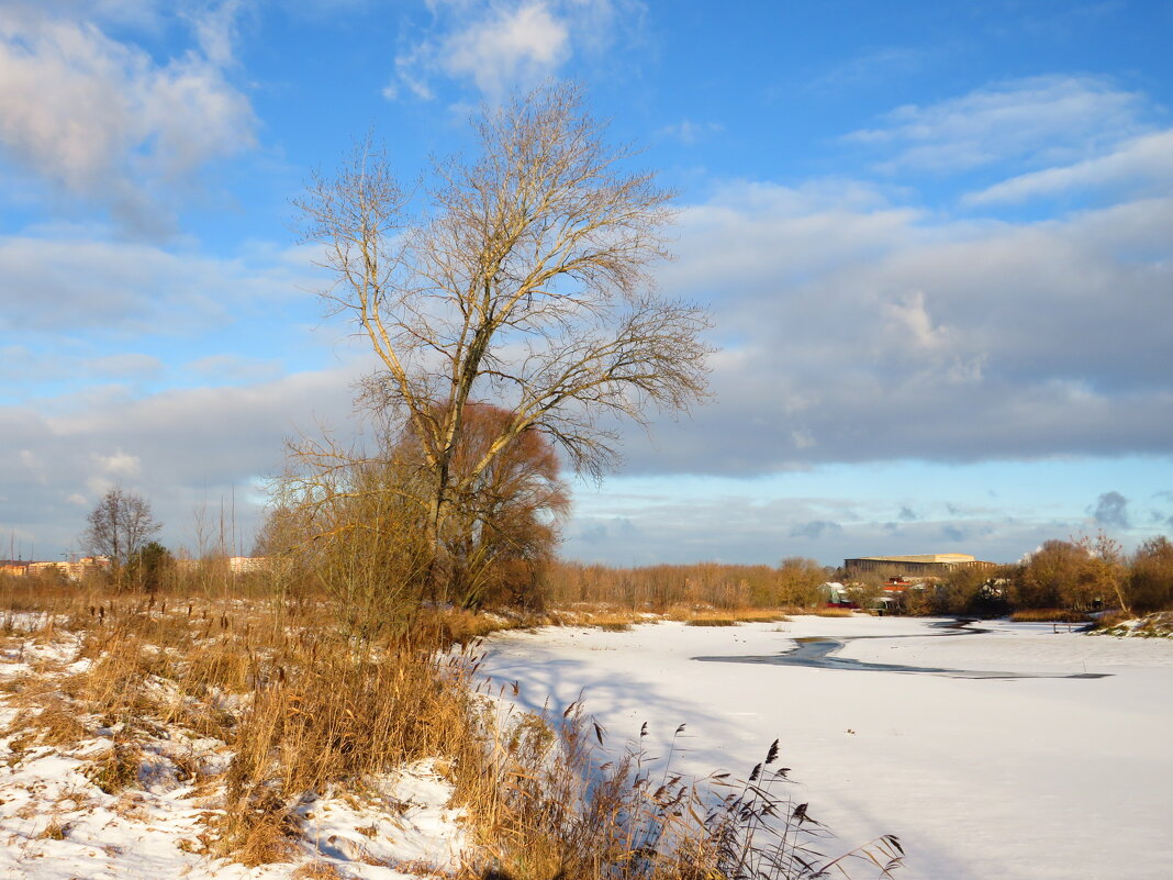 У зимней реки - Андрей Снегерёв