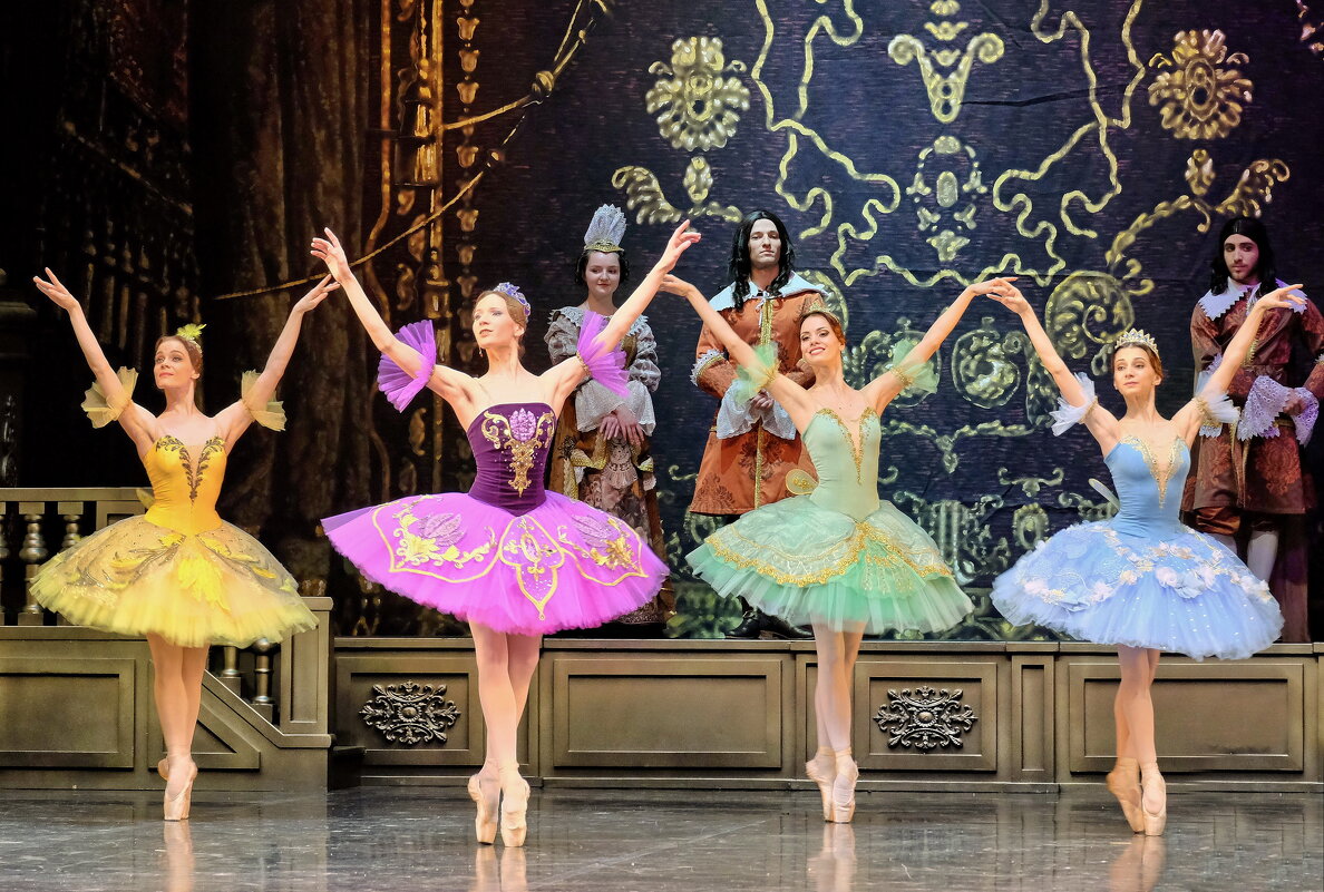 Сцена из балета "Спящая красавица" - Валерий Судачок Сцена из балета "Спящая красавица" - Валерий Судачок