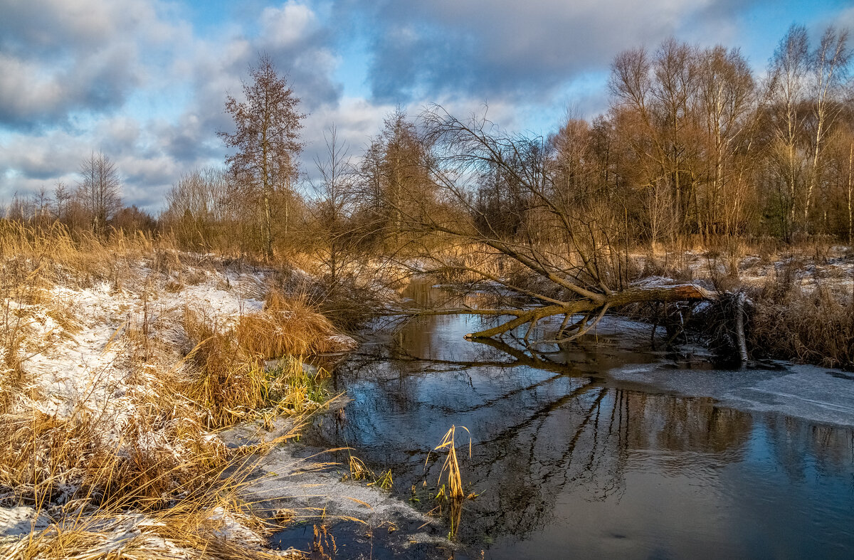 Подмосковный декабрь 2 - Андрей Дворников Подмосковный декабрь 2 - Андрей Дворников